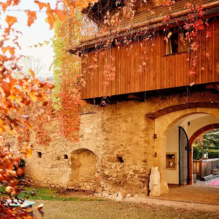 Tauroa Schloss Gabelhofen Fohnsdorf