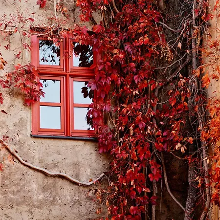 호텔 Tauroa Schloss Gabelhofen