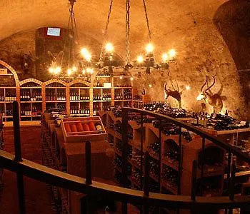 Tauroa Schloss Gabelhofen 4* 폰스돌프