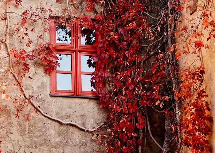 Hotel Tauroa Schloss Gabelhofen
